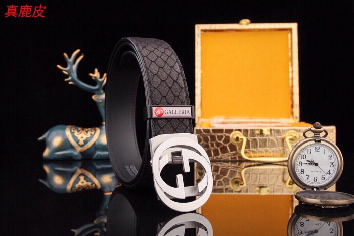 Streetwear Belt Gucci 160812