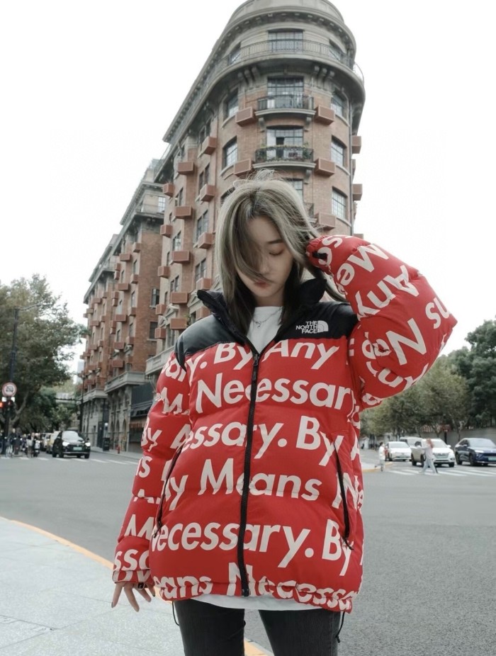 Clothes The North Face 244