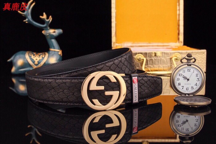 Streetwear Belt Gucci 160812