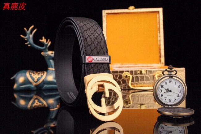 Streetwear Belt Gucci 160812