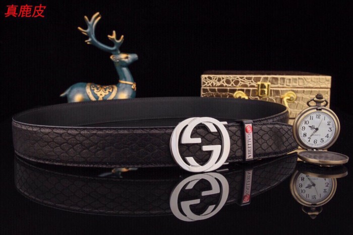 Streetwear Belt Gucci 160812