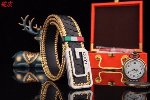 Streetwear Belt Gucci 160647