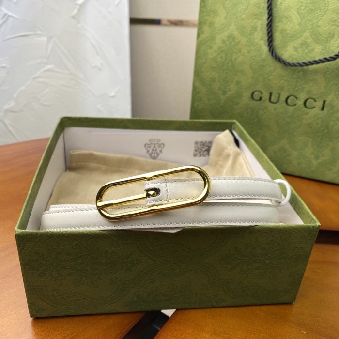Streetwear Belt Gucci 160564