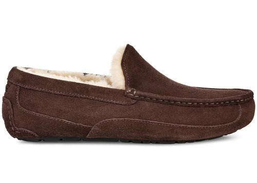 UGG Ascot Slipper Espresso