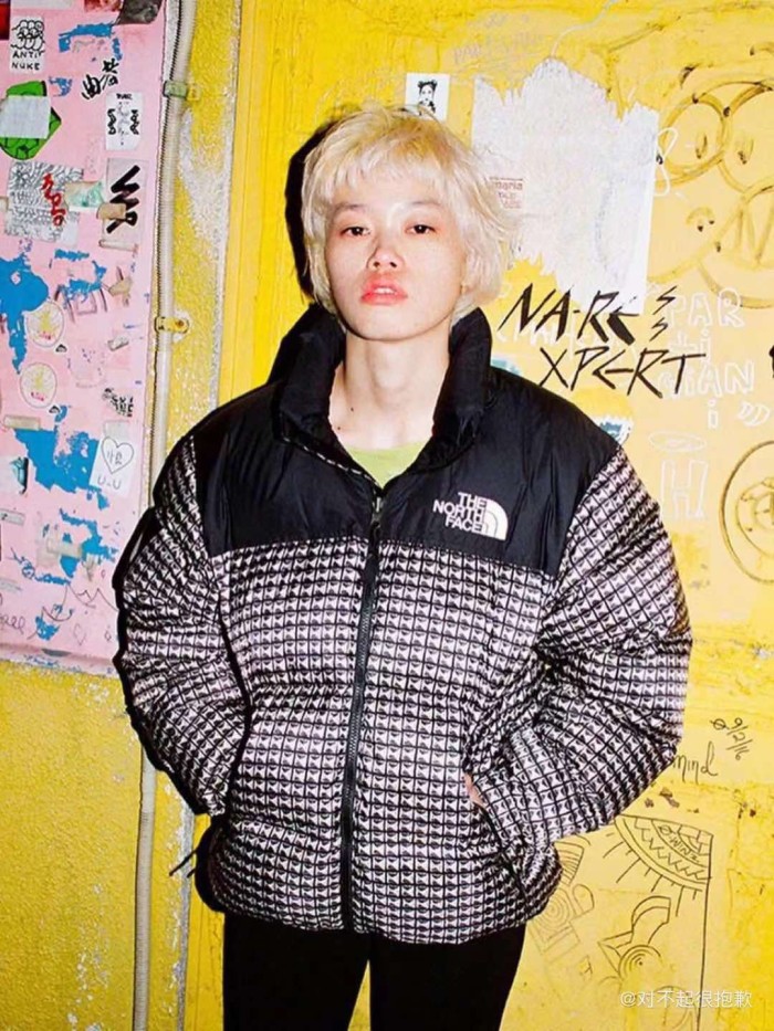 Clothes The North Face 245