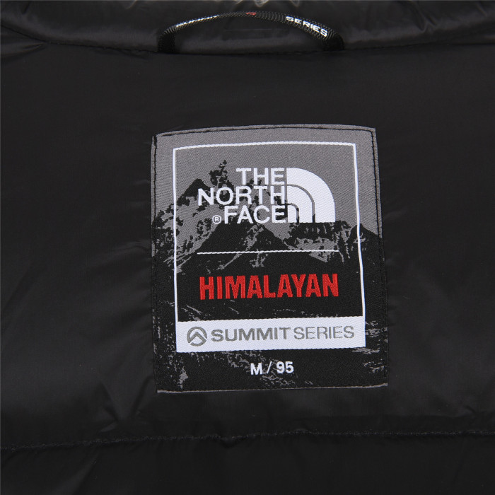 Clothes The North Face 252