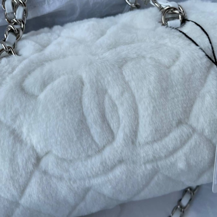 Handbags chanel AS6088 size 24*14*13cm