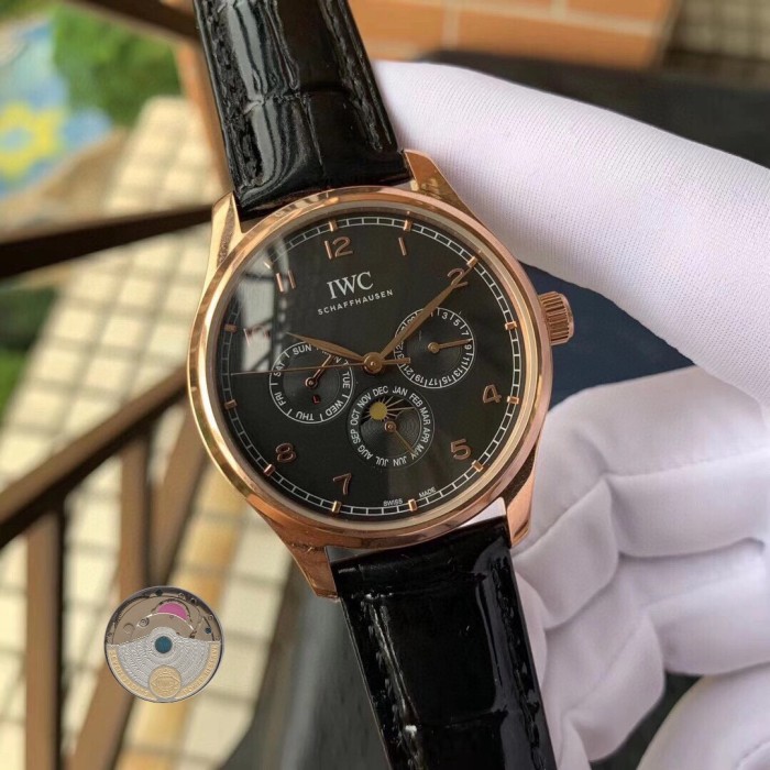 Watches IWS 323055 size:43 mm