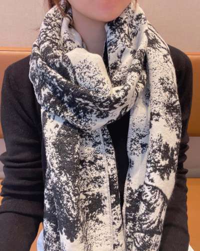 Streetwear Scarf Dior 326358 SIZE:45*190cm