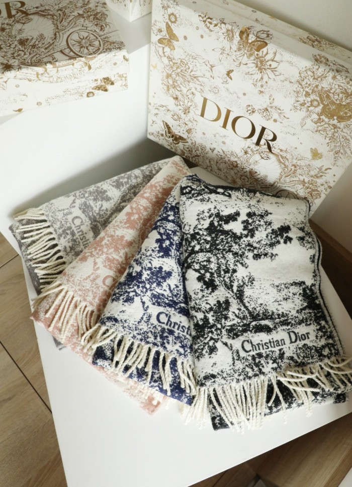 Streetwear Scarf Dior 326334