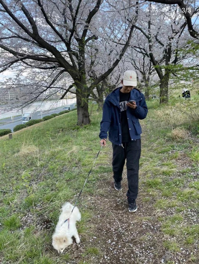 Clothes The North Face 365