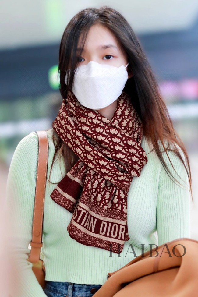 Streetwear Scarf Dior 326041 SIZE:65*185cm