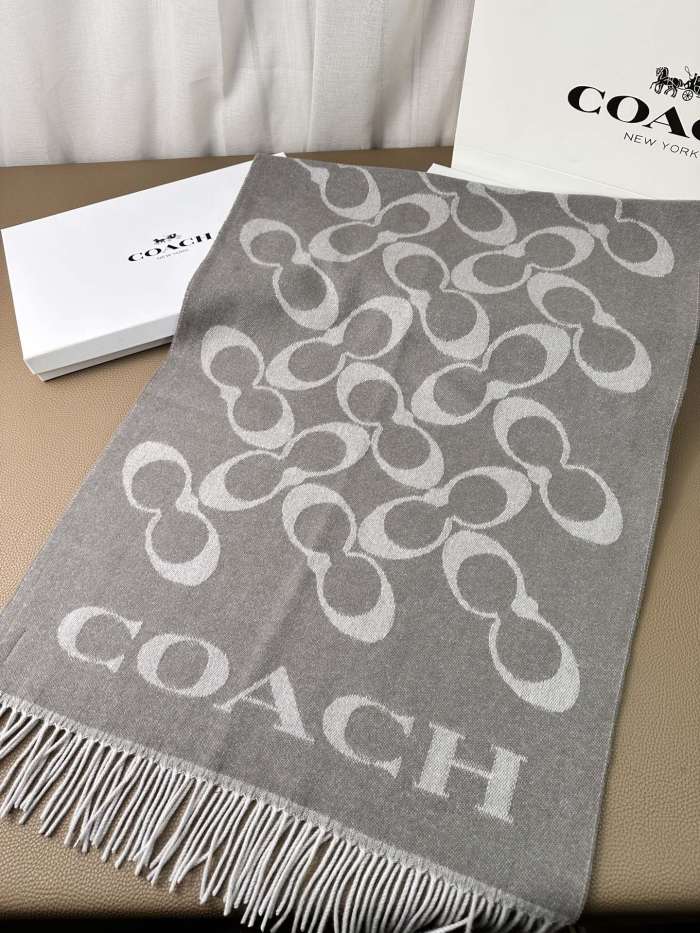 Streetwear Scarf COACH 325640 size:195×53cm