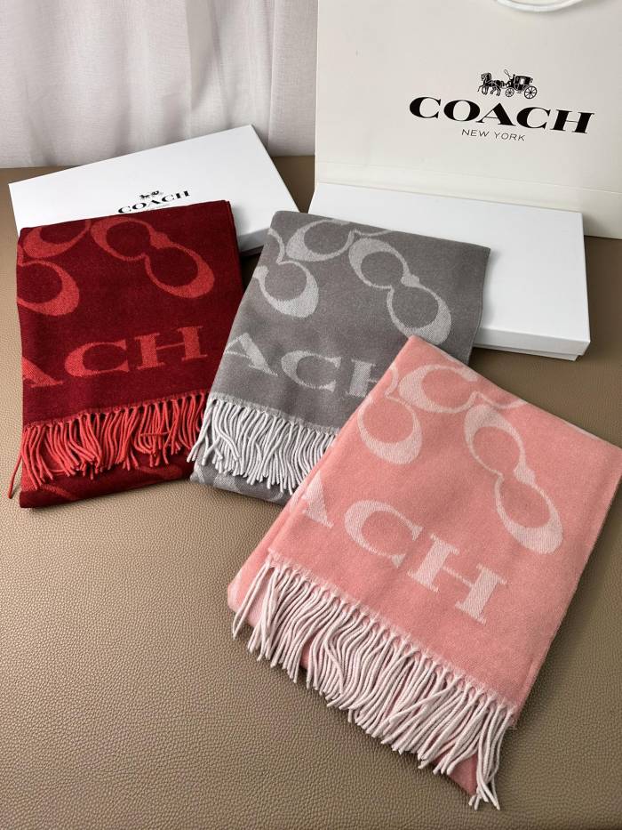 Streetwear Scarf COACH 325640 size:195×53cm