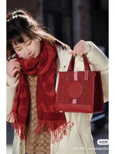 Streetwear Scarf COACH 325641 size:195×53cm