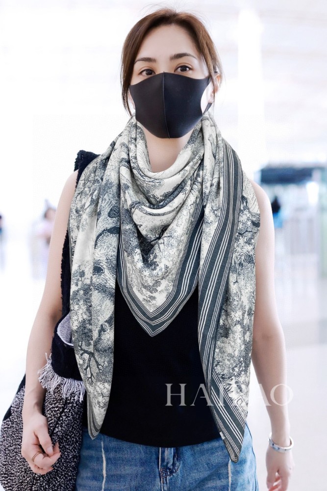 Streetwear Scarf Dior 329711 SIZE:65*185cm