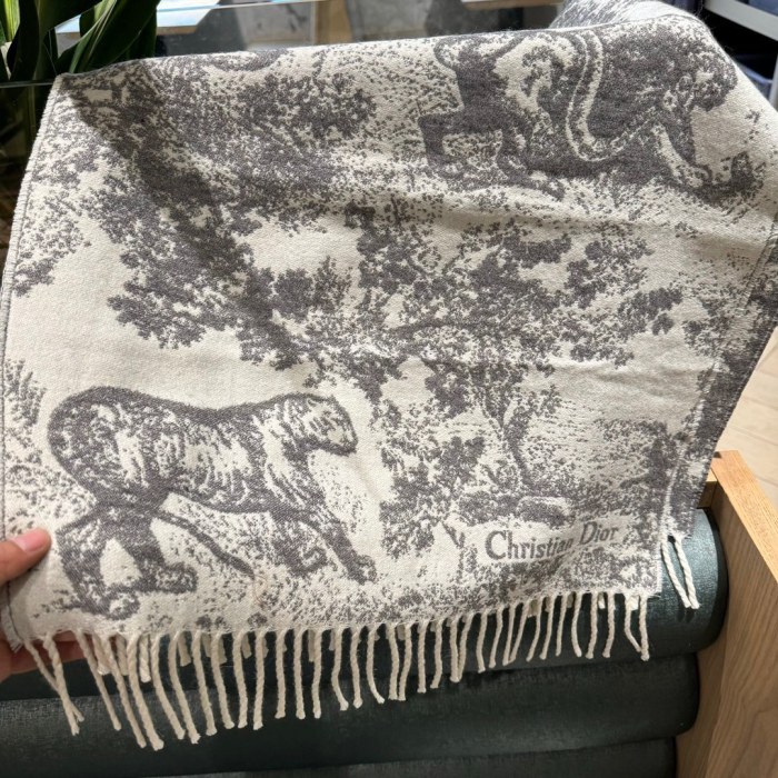 Streetwear Scarf Dior 329656