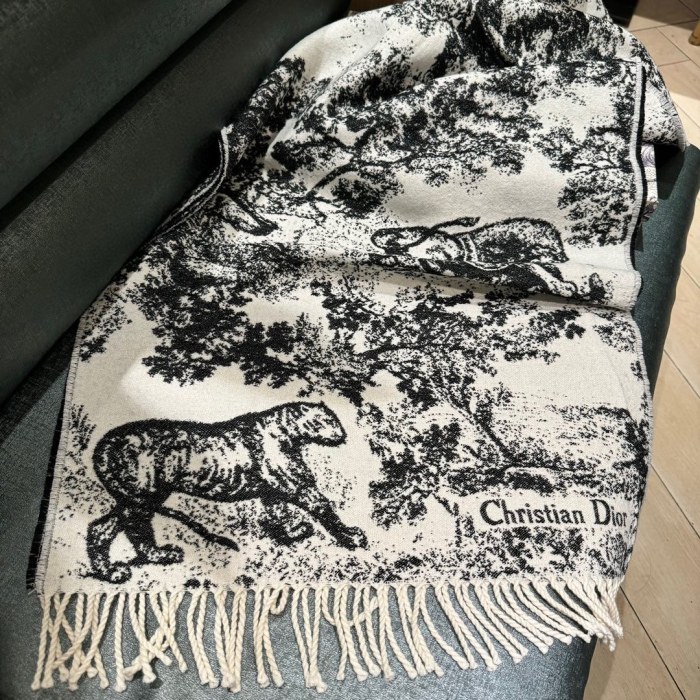 Streetwear Scarf Dior 329657
