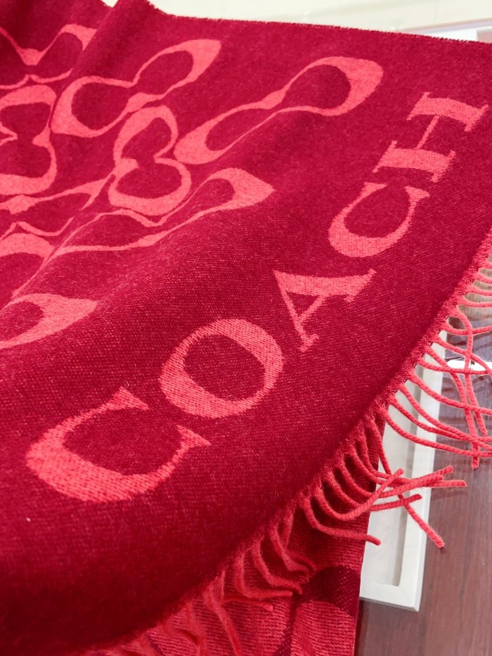 Streetwear Scarf COACH 328769 SIZE:195×53cm