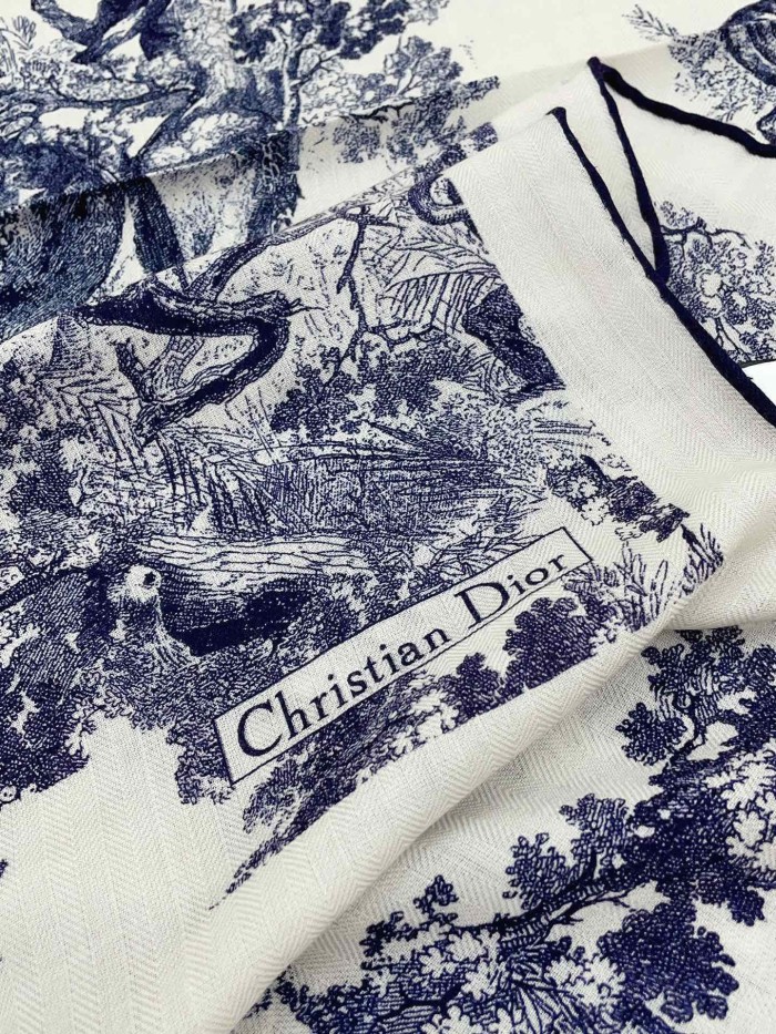 Streetwear Scarf Dior 328750 size：60*180cm