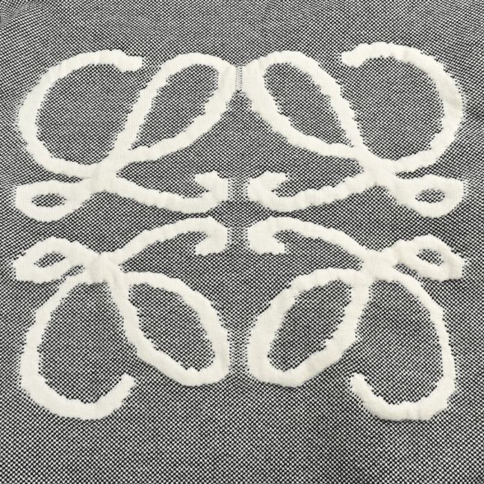 Clothes LOEWE 213
