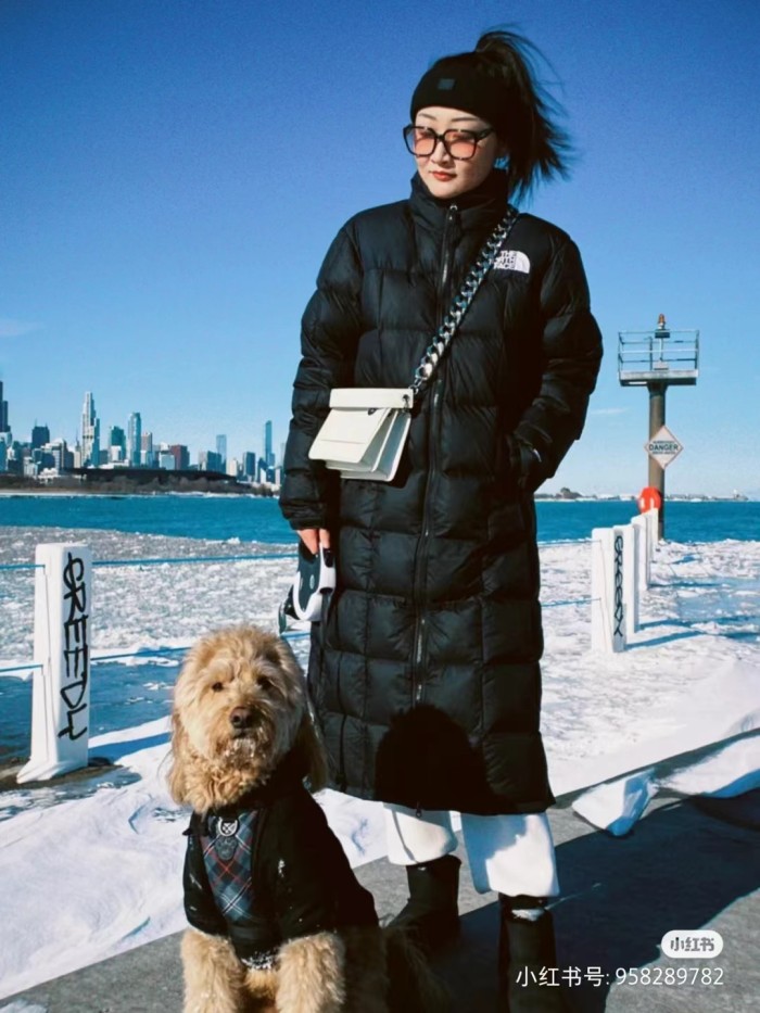 Clothes The North Face 442