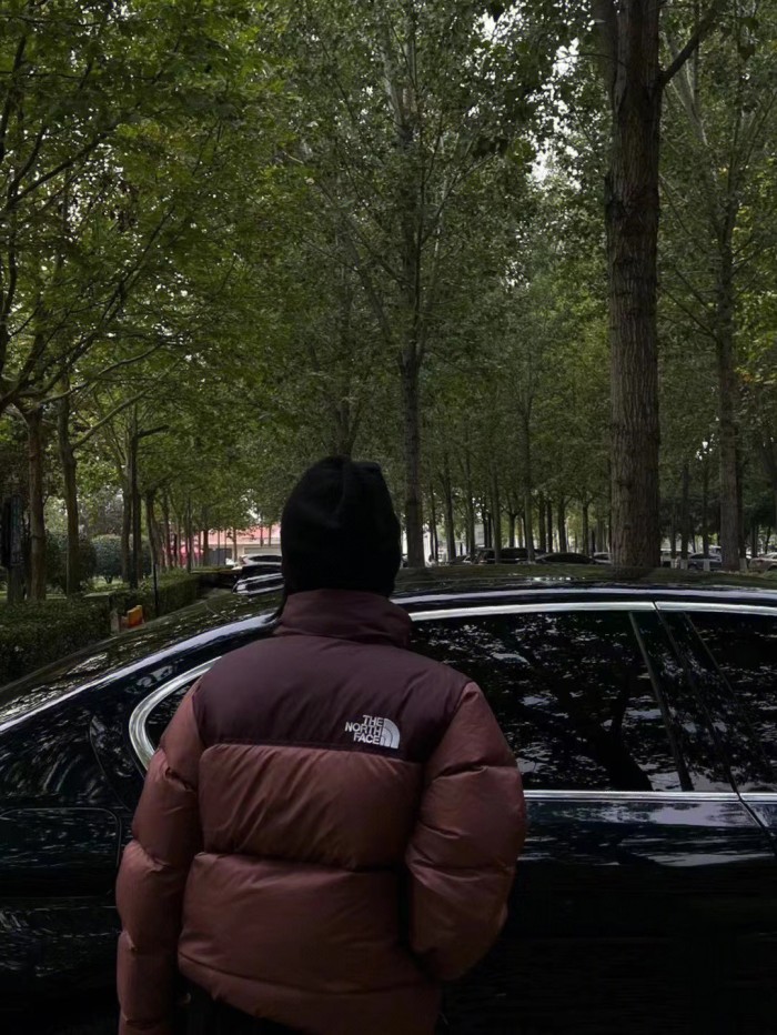 Clothes The North Face 451