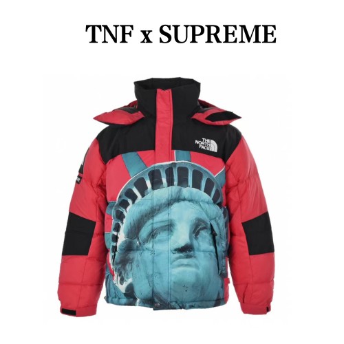 Clothes The North Face 473