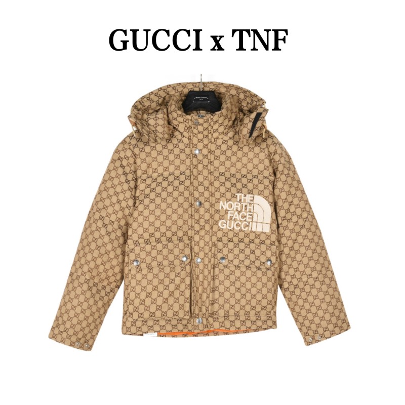 Clothes Gucci 315