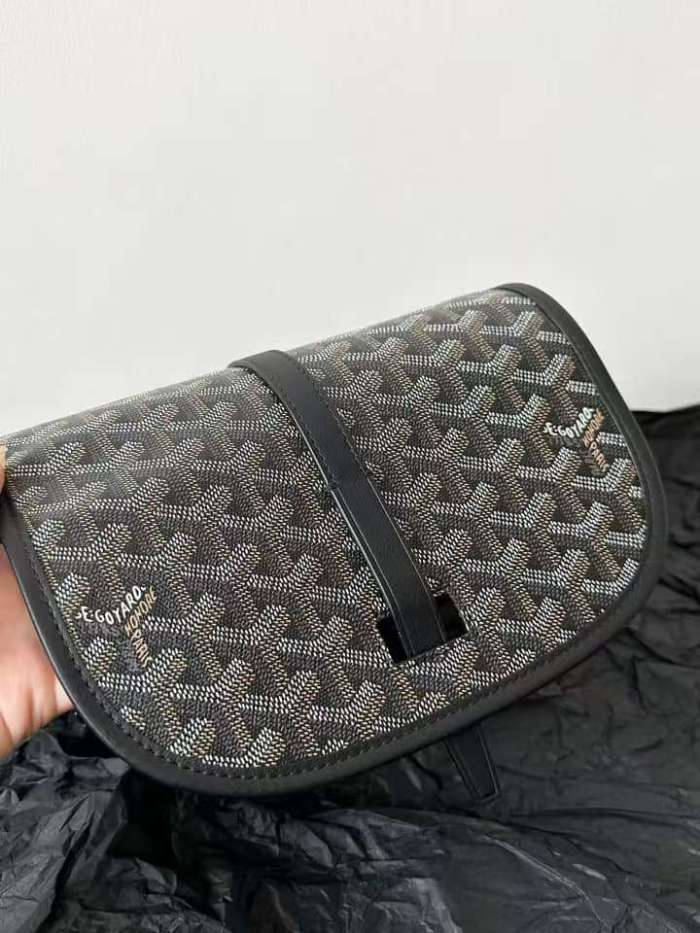 Handbag Goyard 6012 size 22*16*7 cm