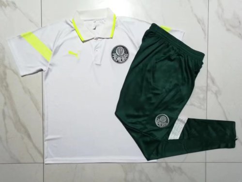 2023-2024 Palmeiras Grey Soccer Polo and Pants