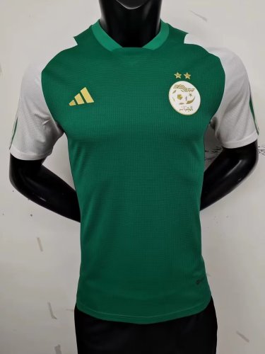 Player Version 2023-2024 Algeria Green/White Soccer Jersey