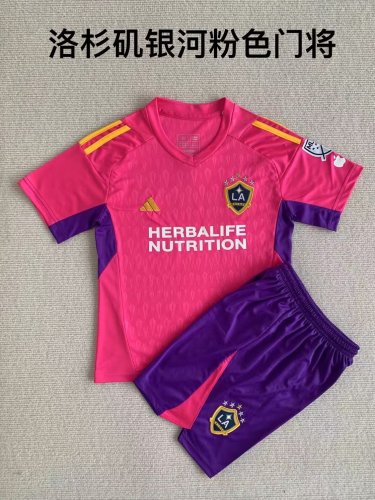 Adult Uniform 2023-2024 Los Angeles Galaxy Pink Goalkeeper Soccer Jersey Shorts
