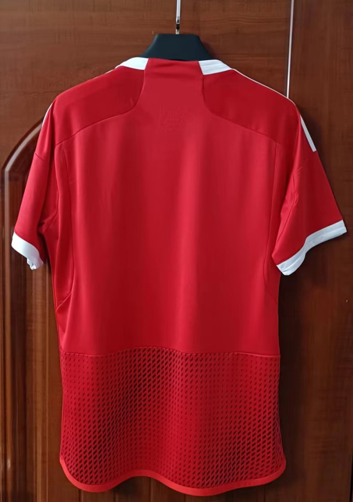 Fans Version 2022-2023 Peru Away Red Soccer Jersey