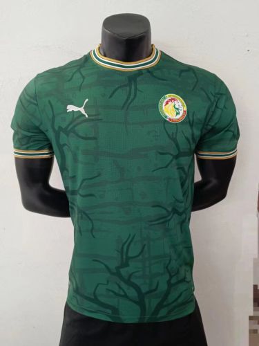 Player Version 2022 Senegal Green Soccer Jersey