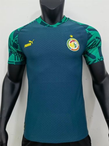 Player Version 2022 Senegal Green Soccer Training Jersey