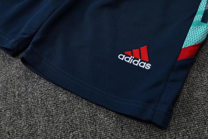 Adult Uniform 2022-2023 Arsenal Blue Soccer Training Vest and Shorts