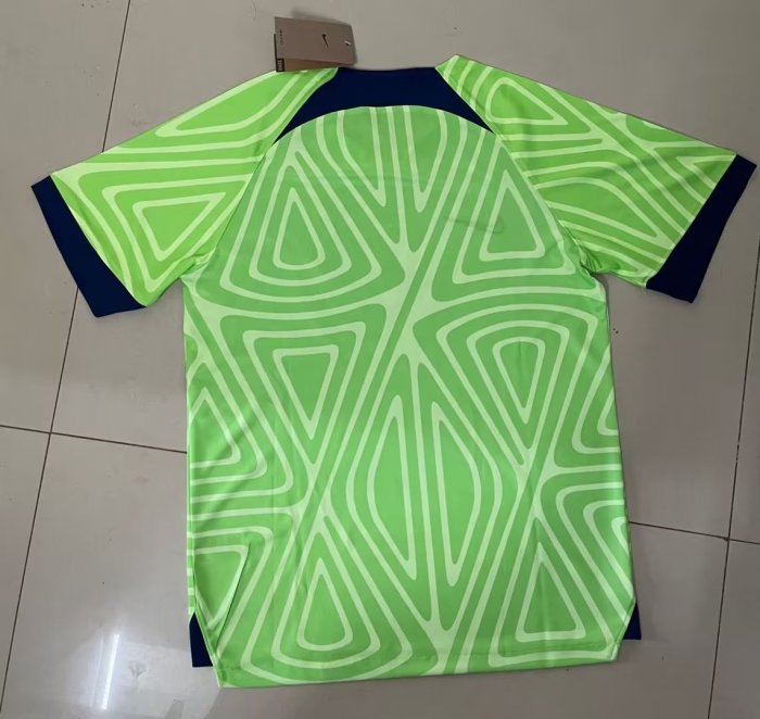 Fans Version 2022-2023 VfL Wolfsburg Home Soccer Jersey