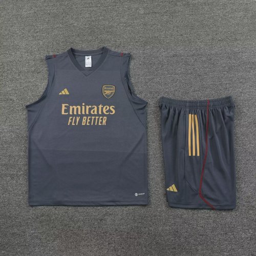 Adult Uniform 2023-2024 Arsenal Grey Soccer Training Vest and Shorts