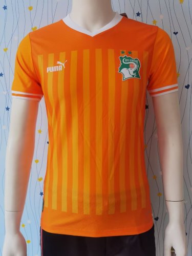 Player Version Ivory Coast Football Shirt 2022 Côte d'Ivoire Home Soccer Jersey