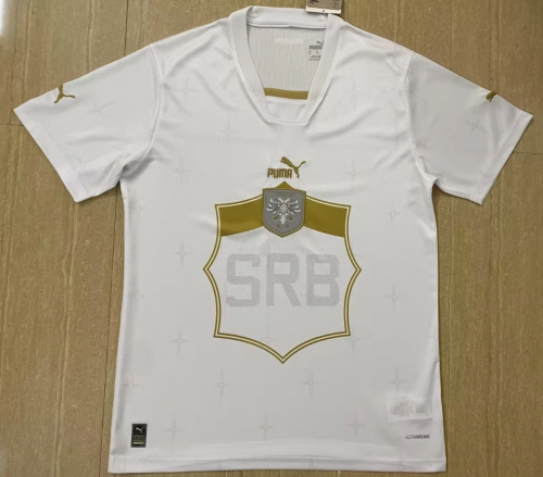 Fans Version 2022 World Cup Serbia Away Soccer Jersey