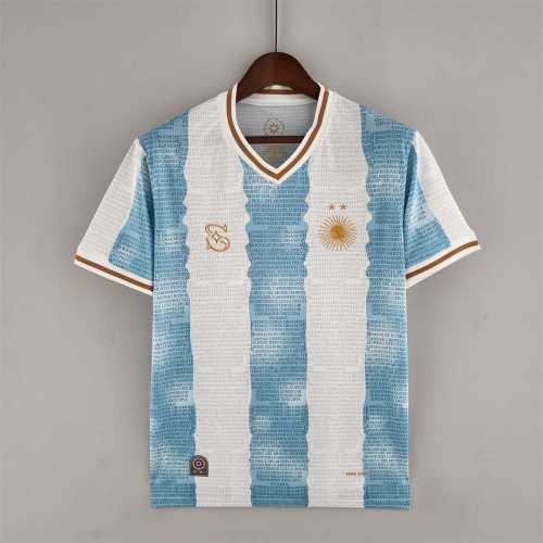 Fans Version 2022 Argentina Commemorative Edition White Blue Soccer Jersey