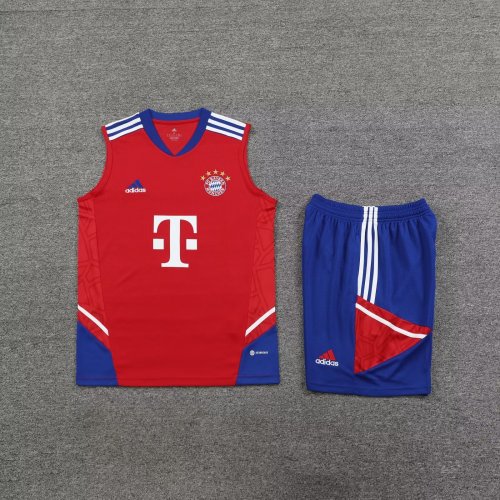 Adult Uniform 2023-2024 Bayern Munich Red Soccer Training Vest and Shorts