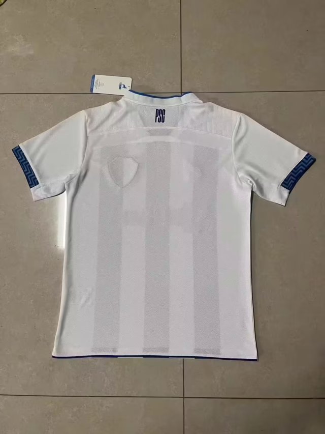 Fans Version 2023-2024 Paysandu Home Soccer Jersey