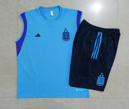 Adult Uniform 2023-2024 Argentina Blue Soccer Training Vest and Shorts