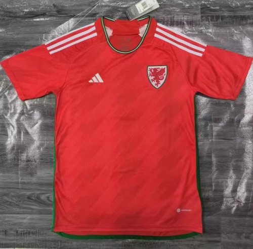 Fans Version 2022 World Cup Wales Home Soccer Jersey