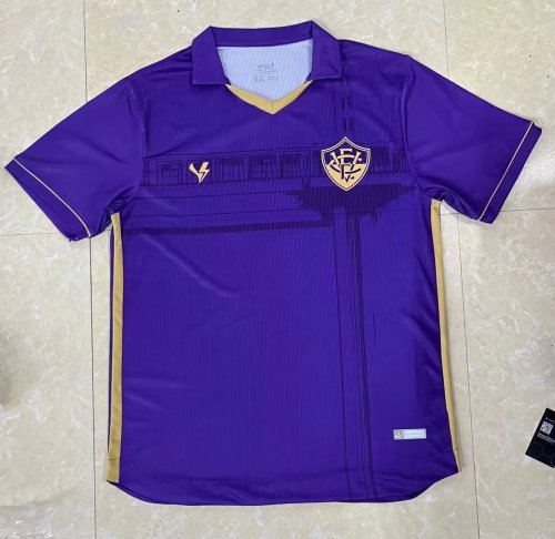 Fan Version 2023-2024 Vitória Purple Soccer Jersey