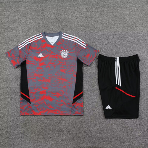 Adult Uniform 2023-2024 Bayern Munich Grey/Red Soccer Training Jersey and Shorts