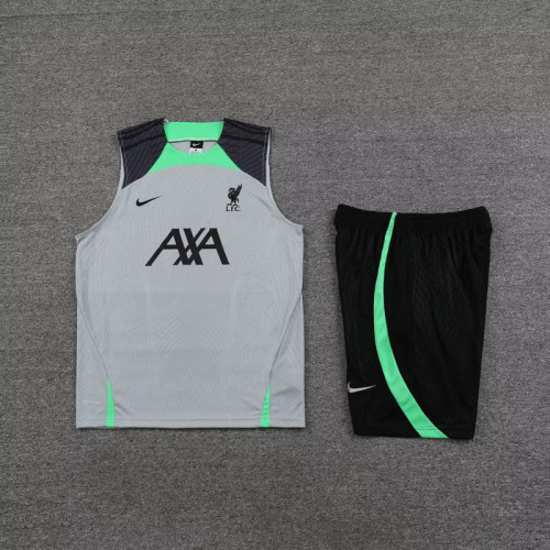 Adult Uniform 2023-2024 Liverpool Grey Soccer Training Vest and Shorts