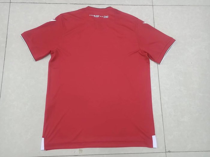 Fans Version 2022-2023 Cavalry Home Soccer Jersey